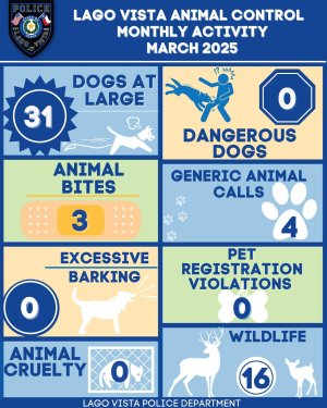 LVPD Infographic nuisance.jpg